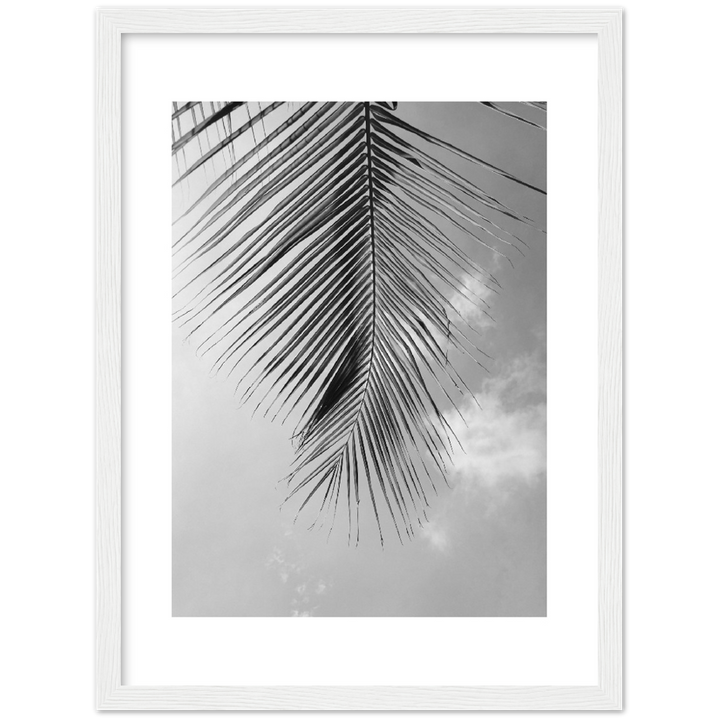 PALM CLOUD