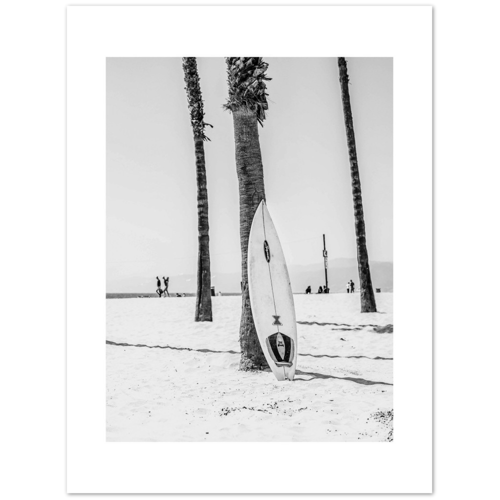 PALM SURF