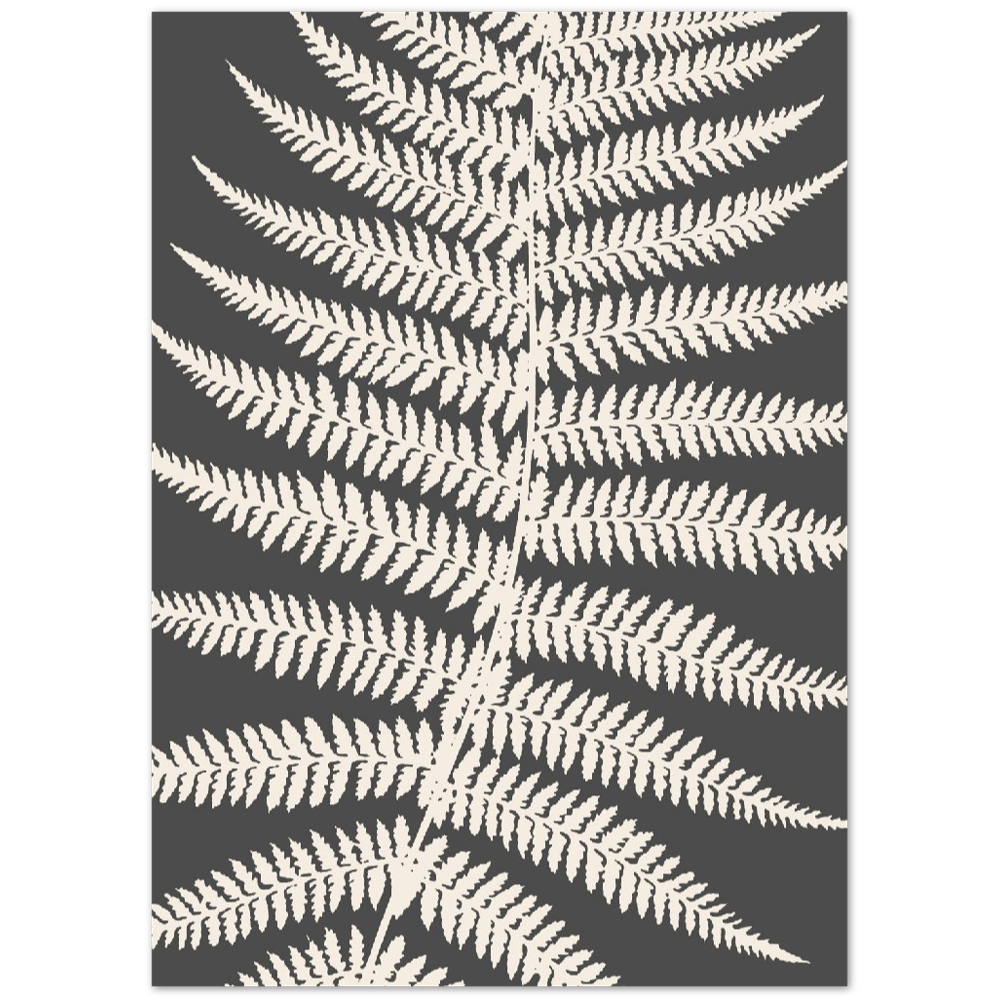 GREY FERNAT III