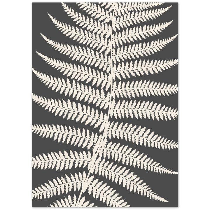 GREY FERNAT III