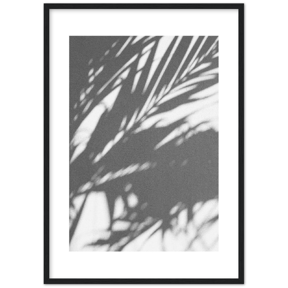 PALM SHADOW