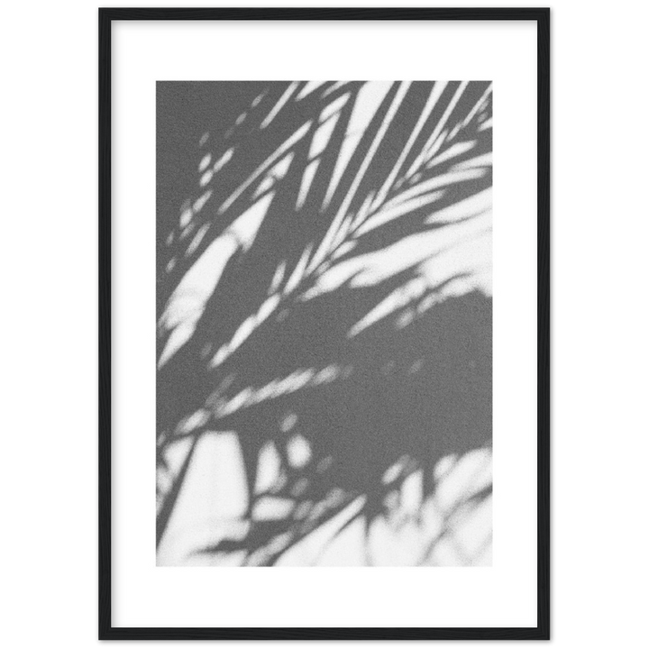 PALM SHADOW