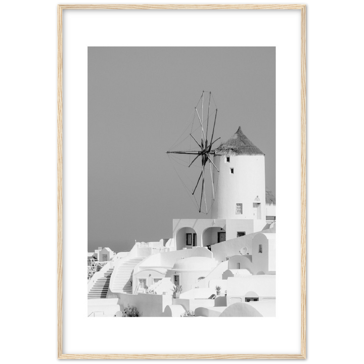 MOLINO BLANCO