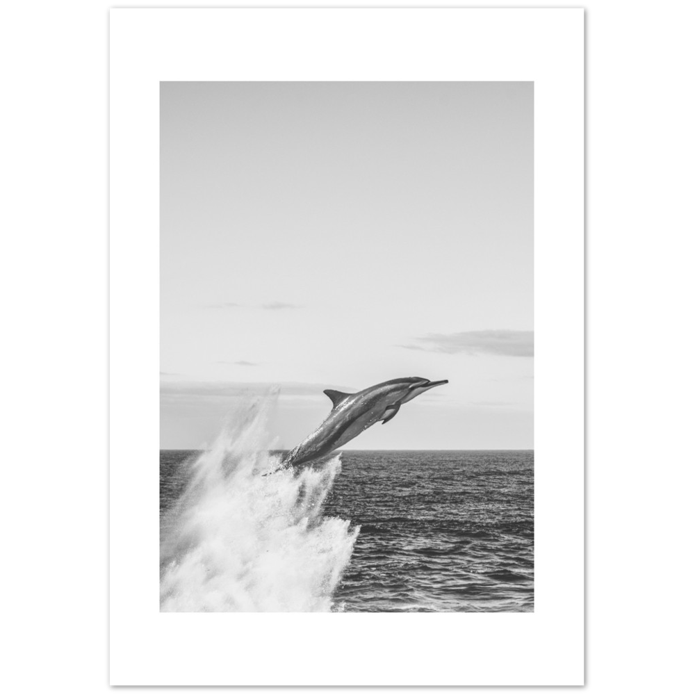 DELFIN