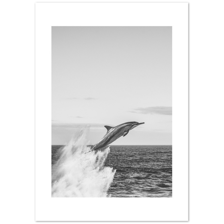 DELFIN