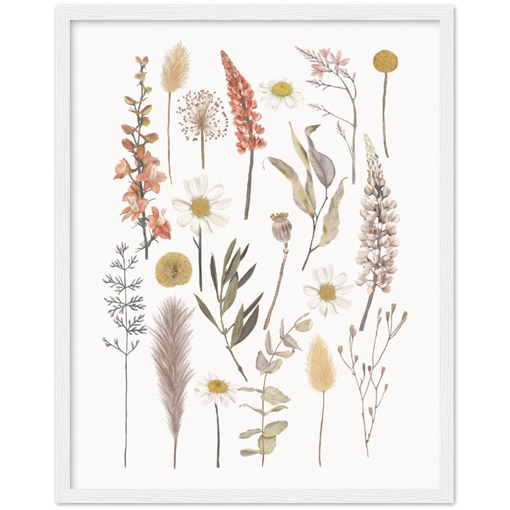 BOTANIC COMPO