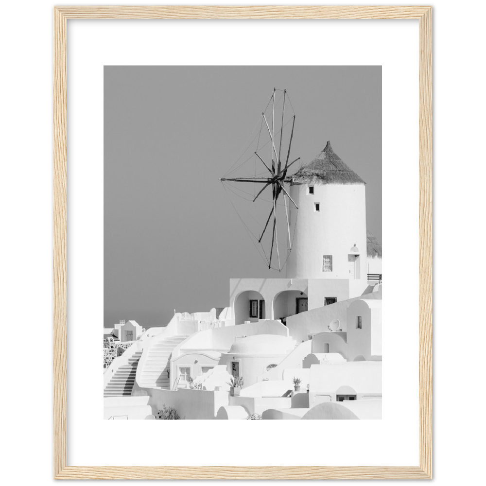 MOLINO BLANCO