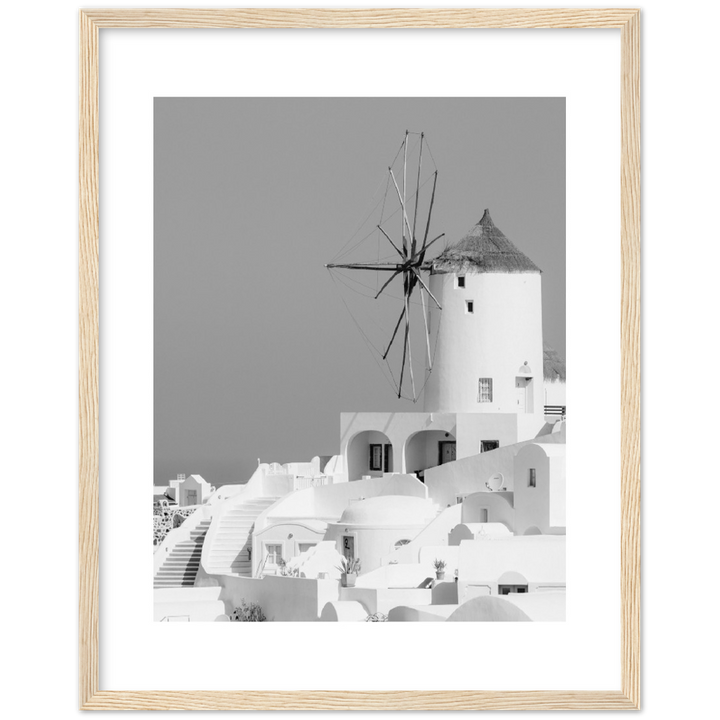MOLINO BLANCO