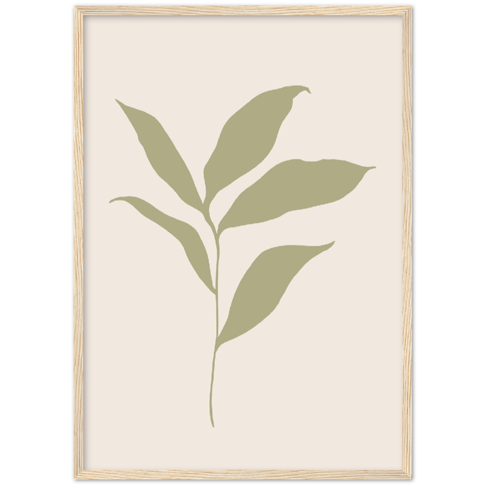 FLOR MUSA IV
