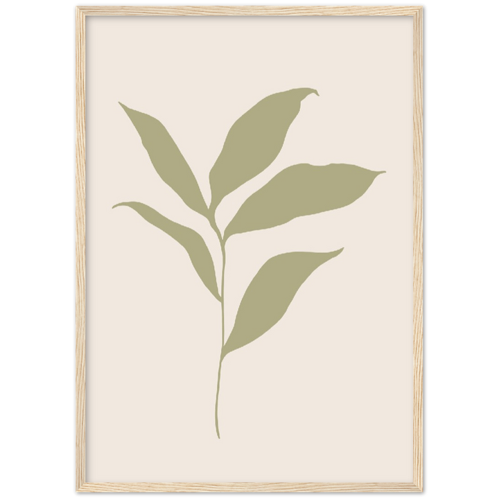 FLOR MUSA IV