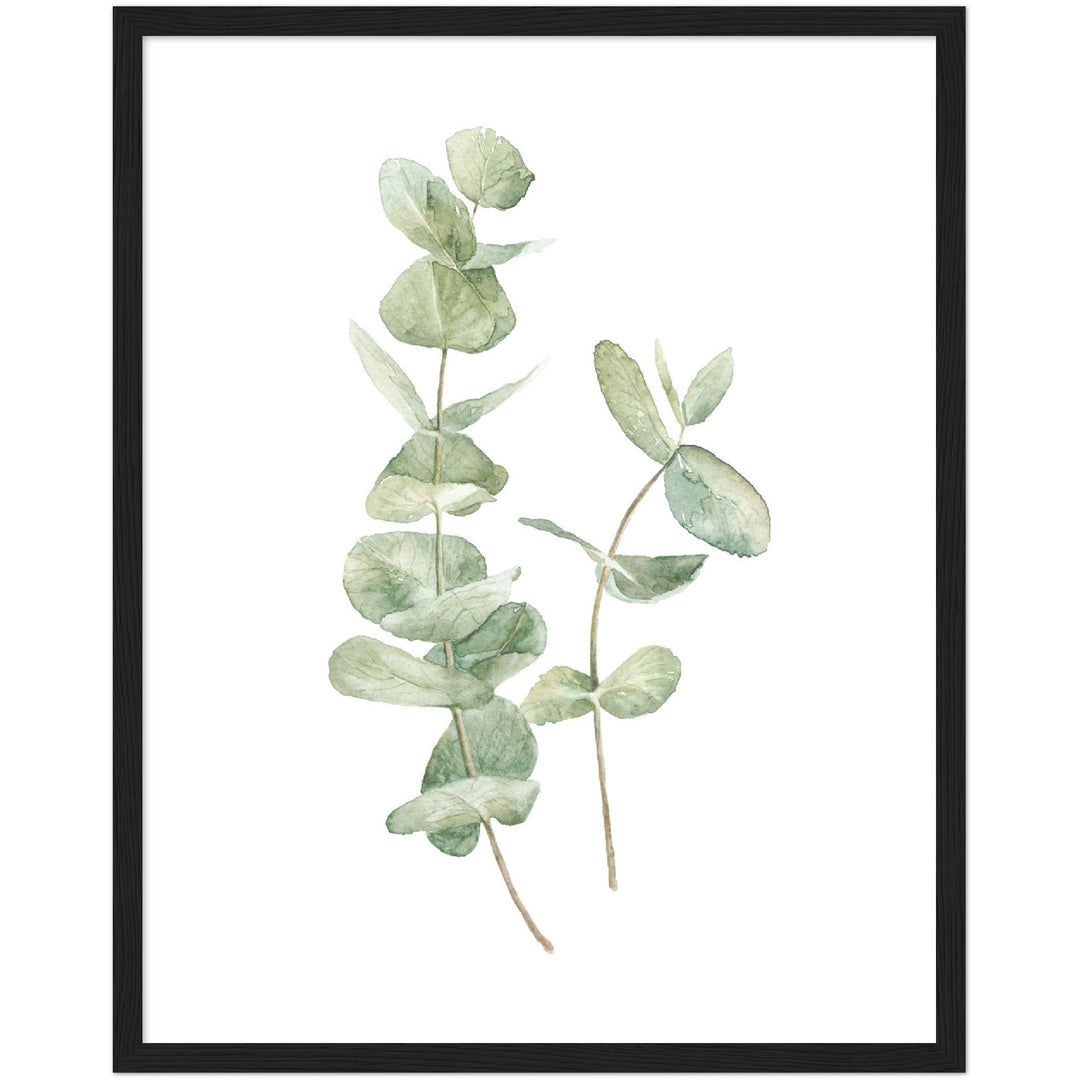 EUCALIPTUS I