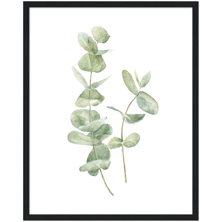 EUCALIPTUS I