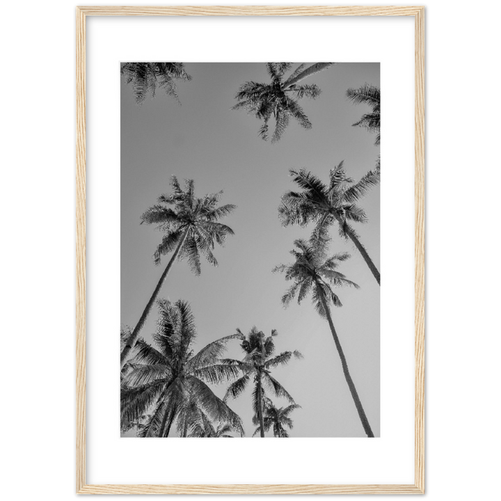 PALMAS GREY I