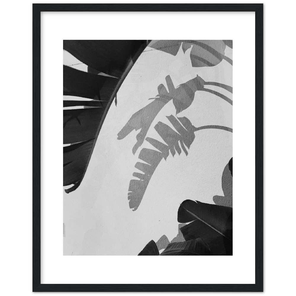 PALM SOMBRA