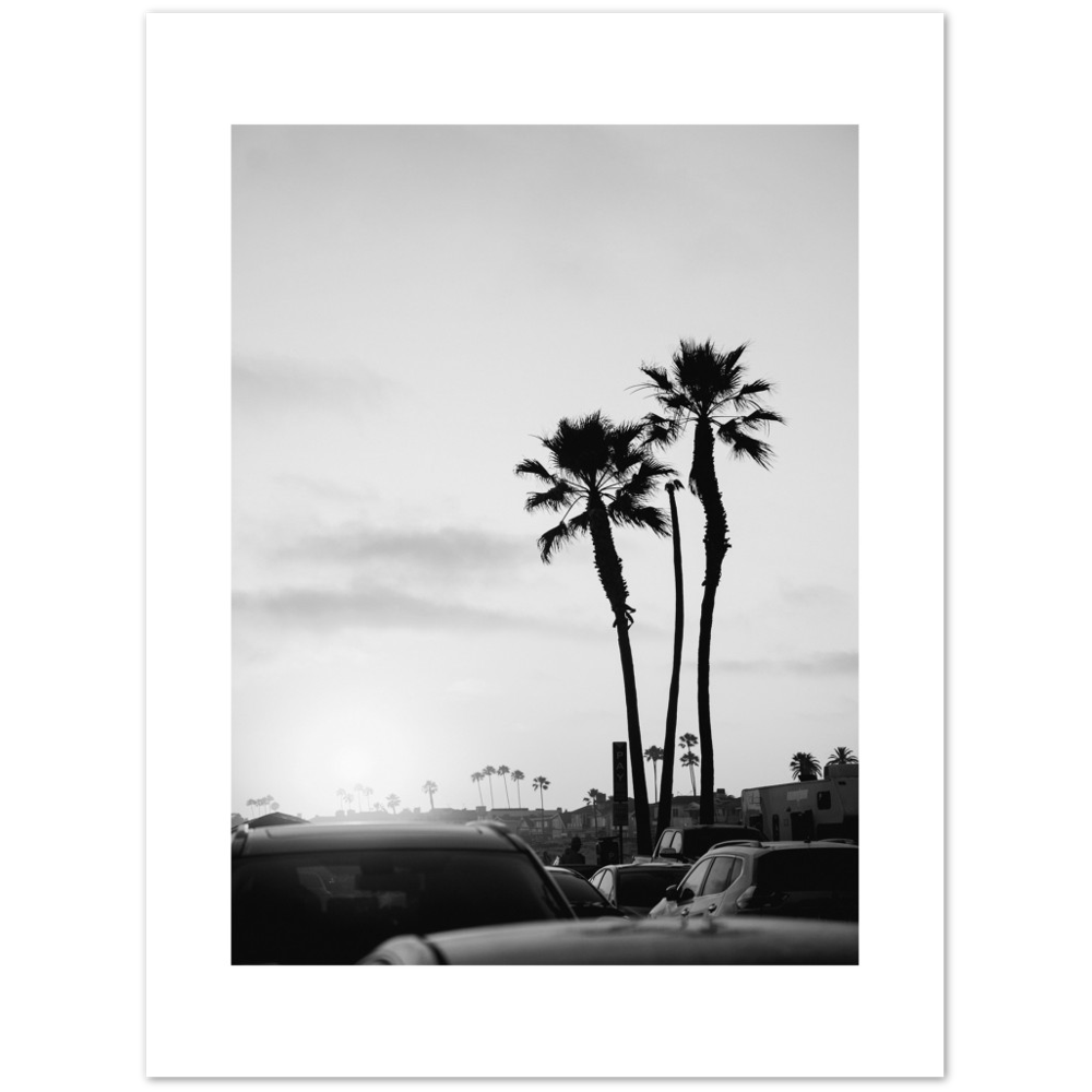 PALM STREET