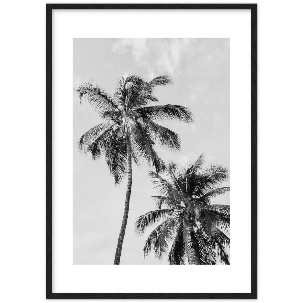 PALMERAS I