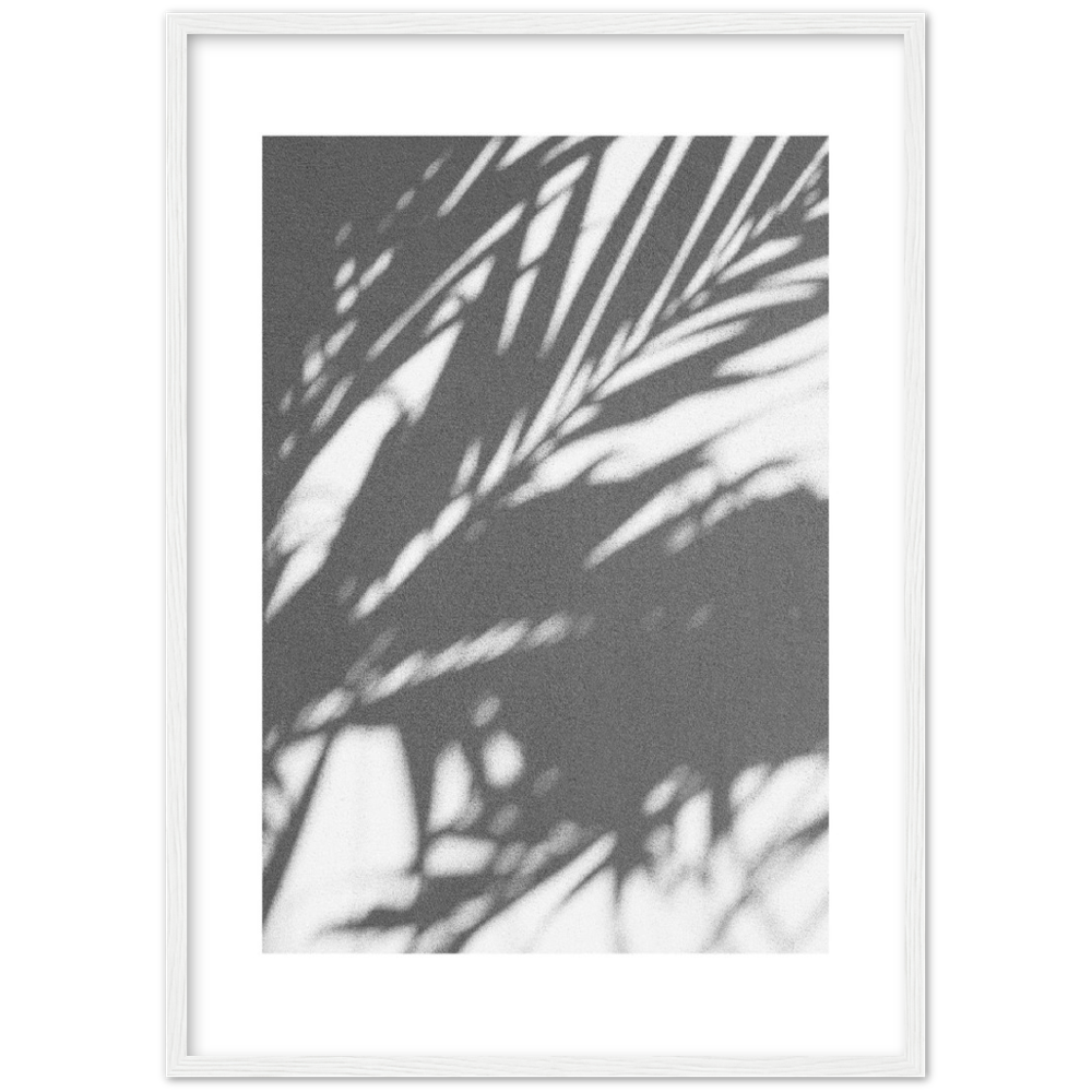 PALM SHADOW