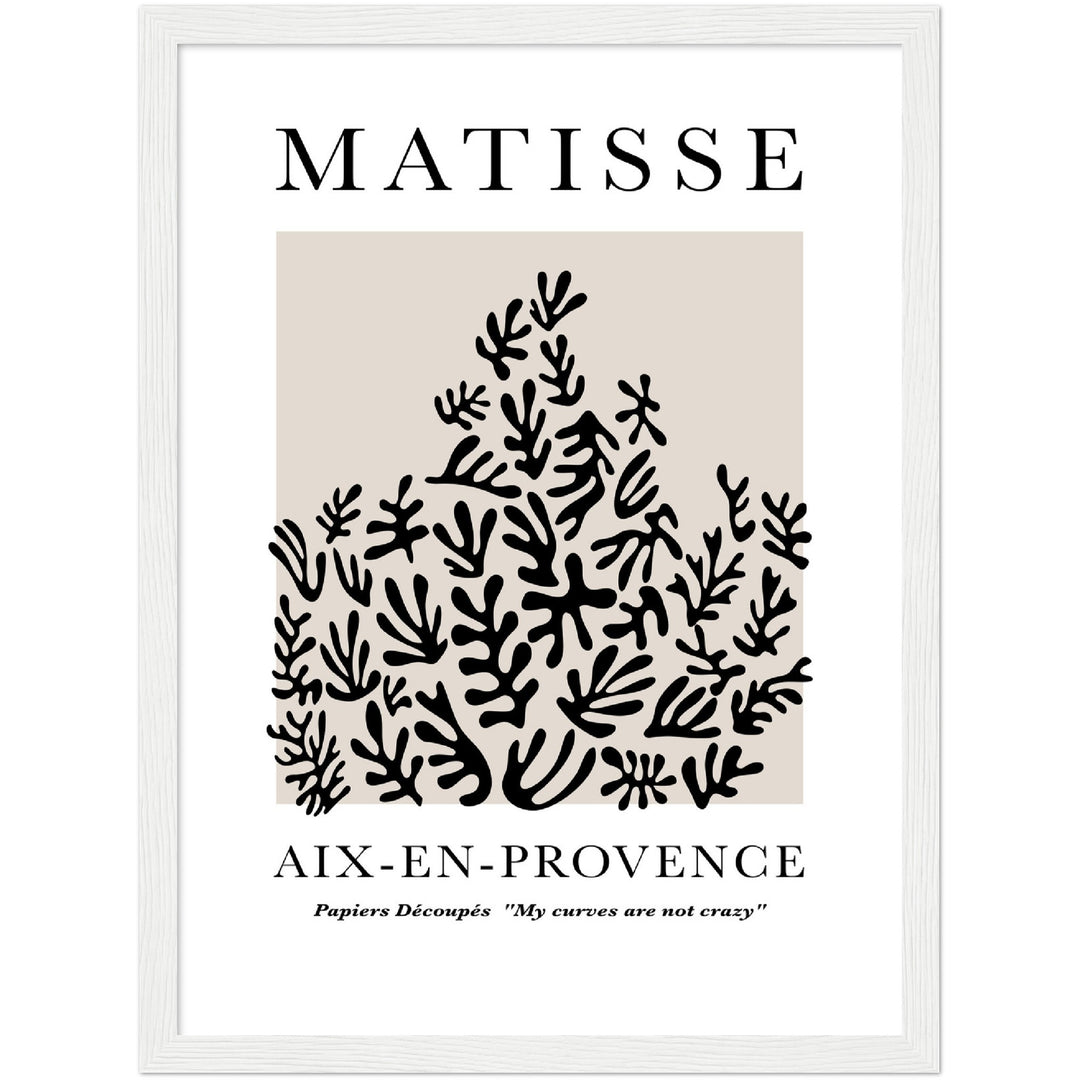MATISSE PLANT