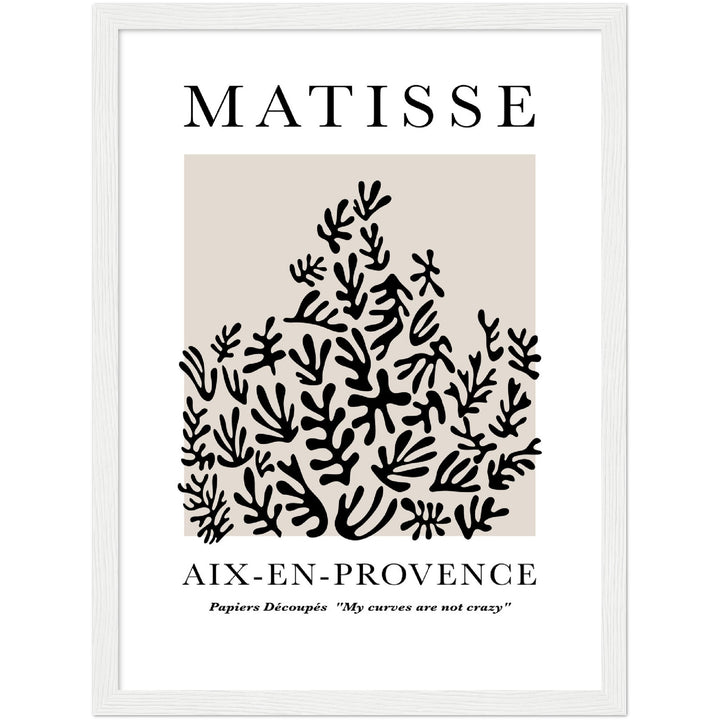 MATISSE PLANT