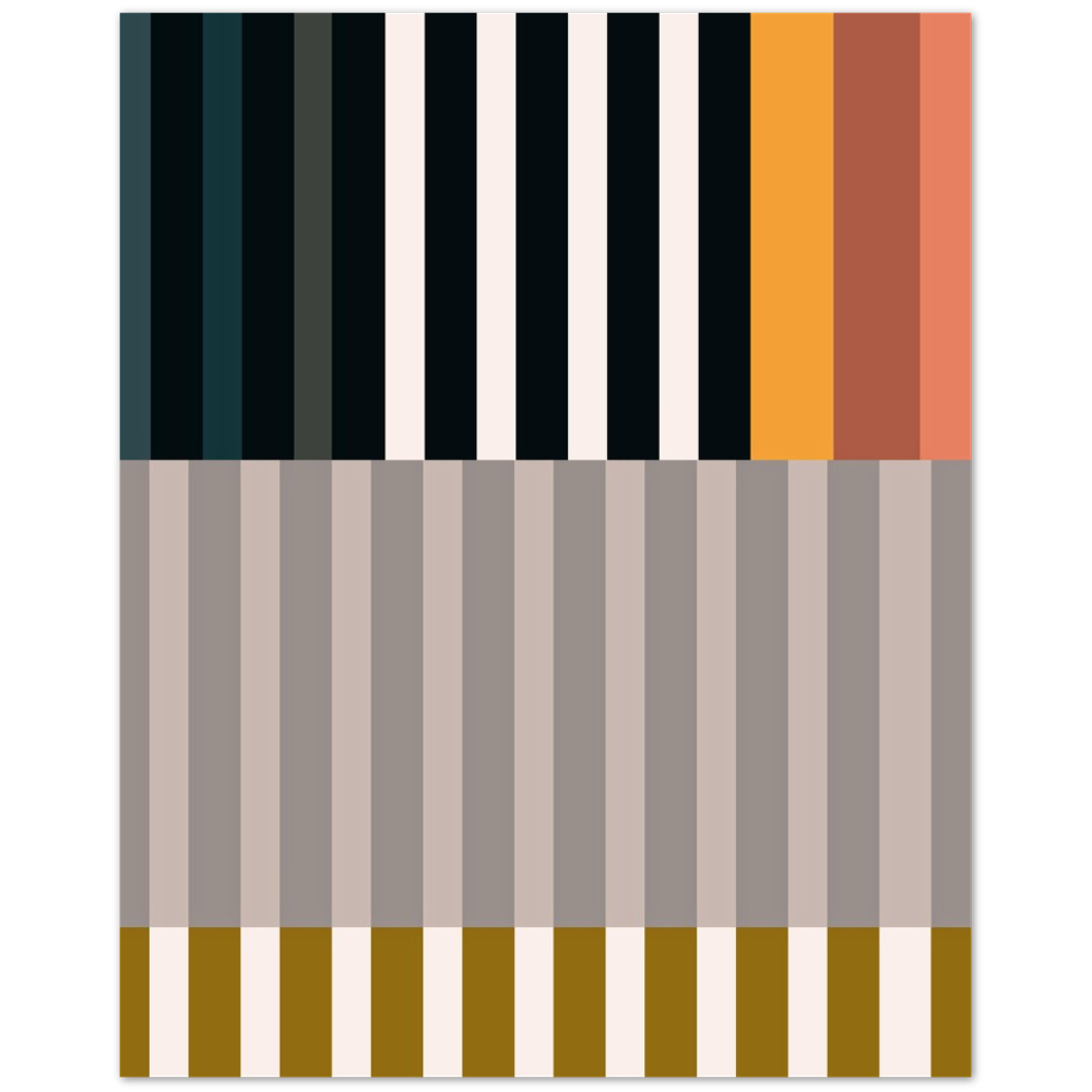 RAYVISION II