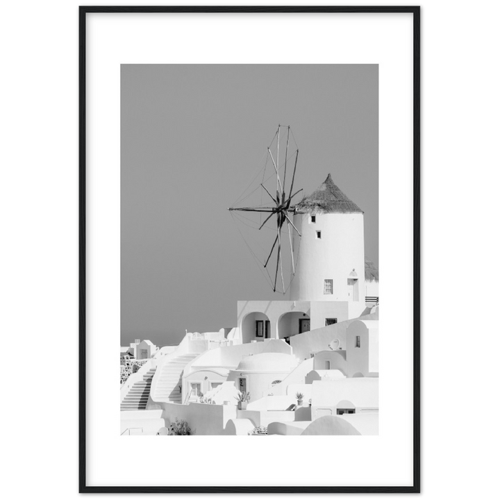 MOLINO BLANCO