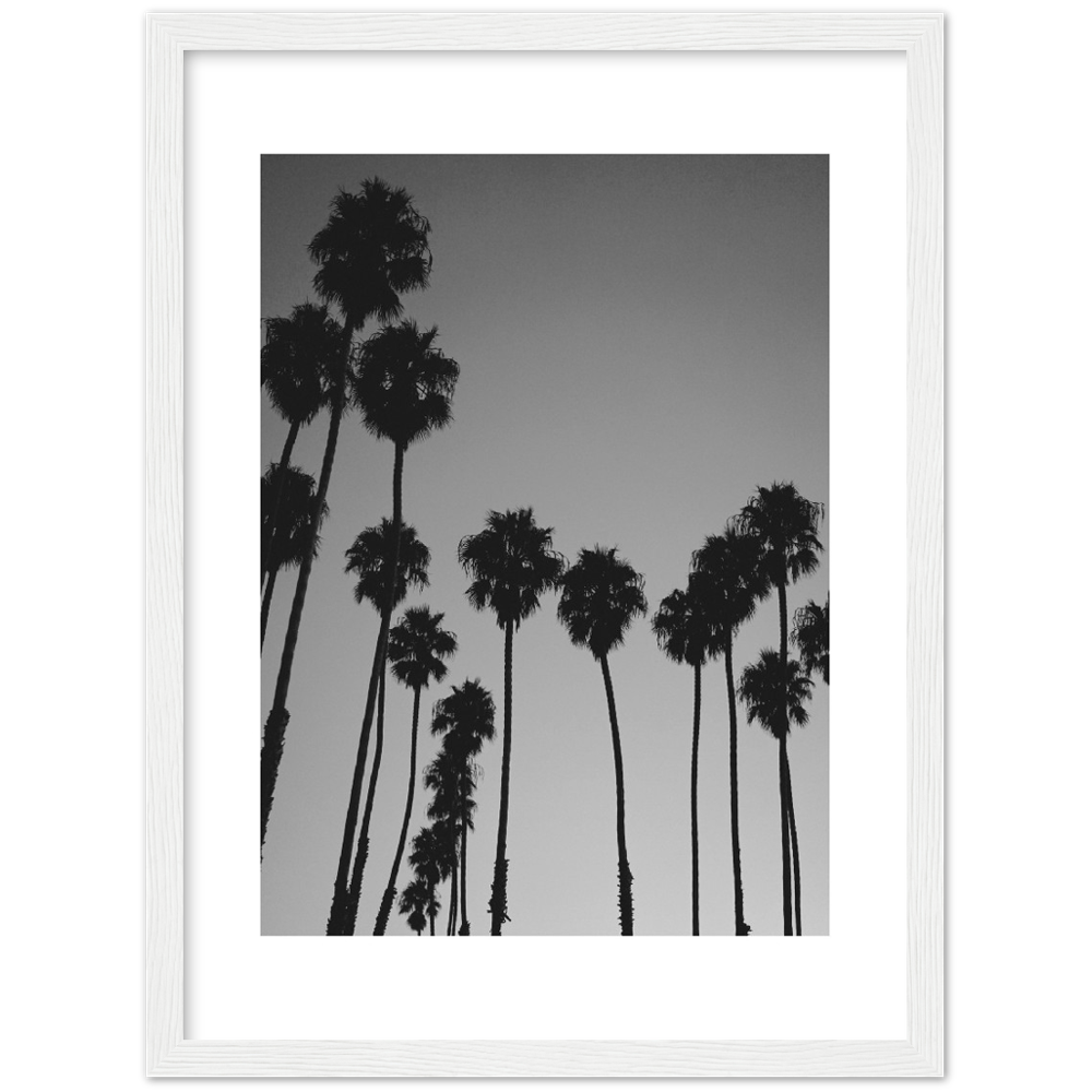 LARGE PALM