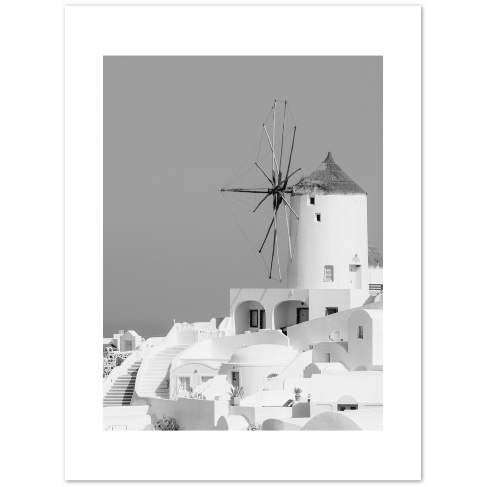 MOLINO BLANCO