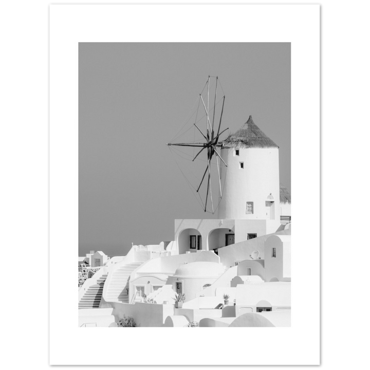 MOLINO BLANCO