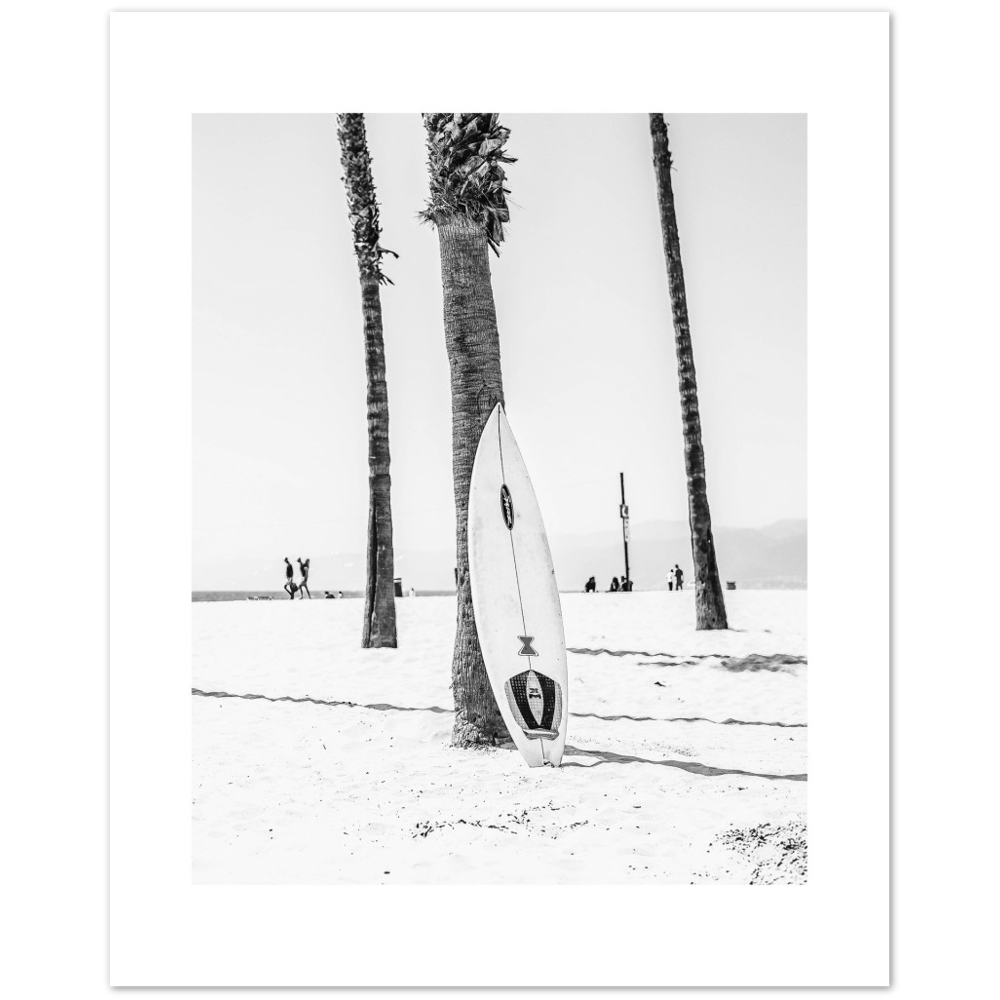 PALM SURF