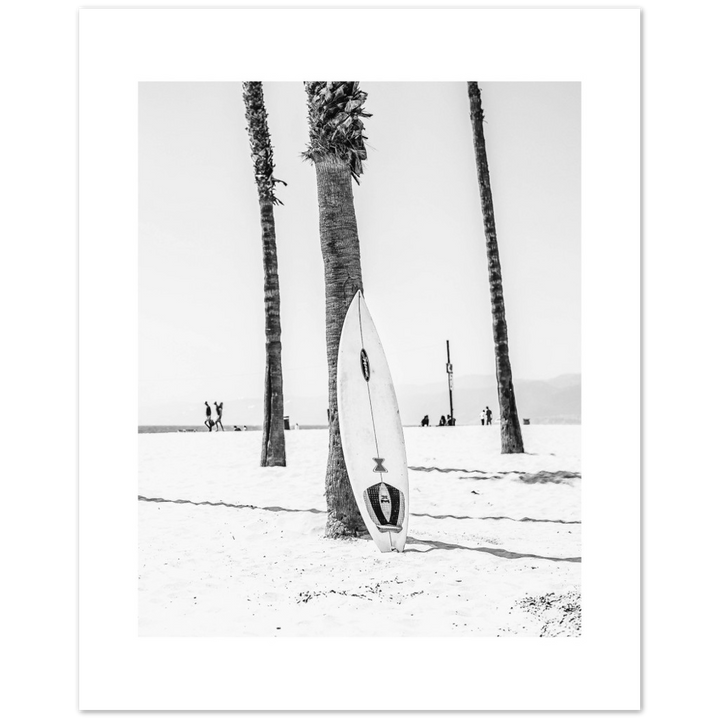 PALM SURF