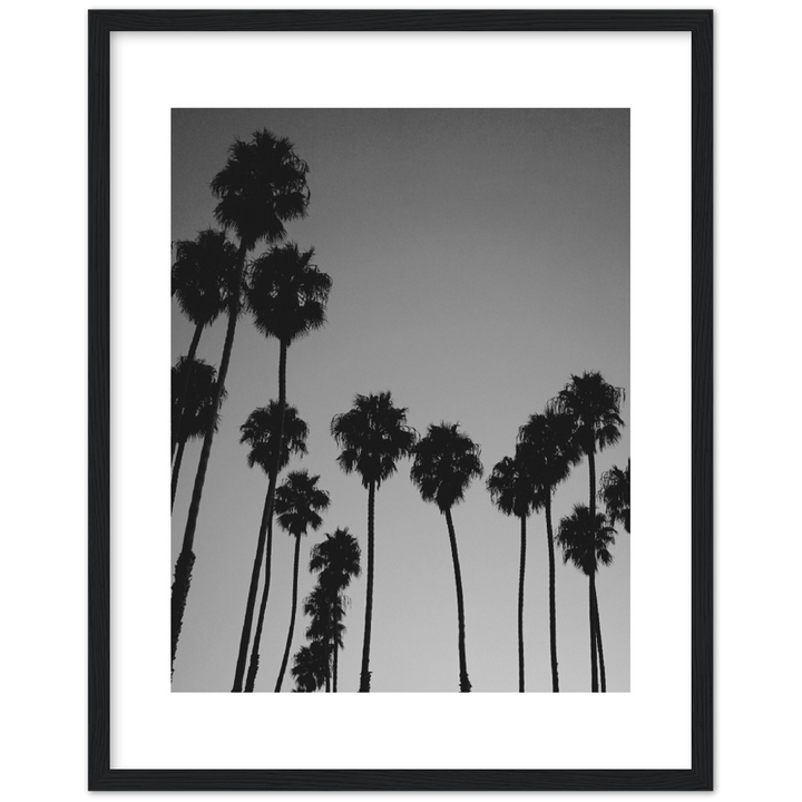 LARGE PALM