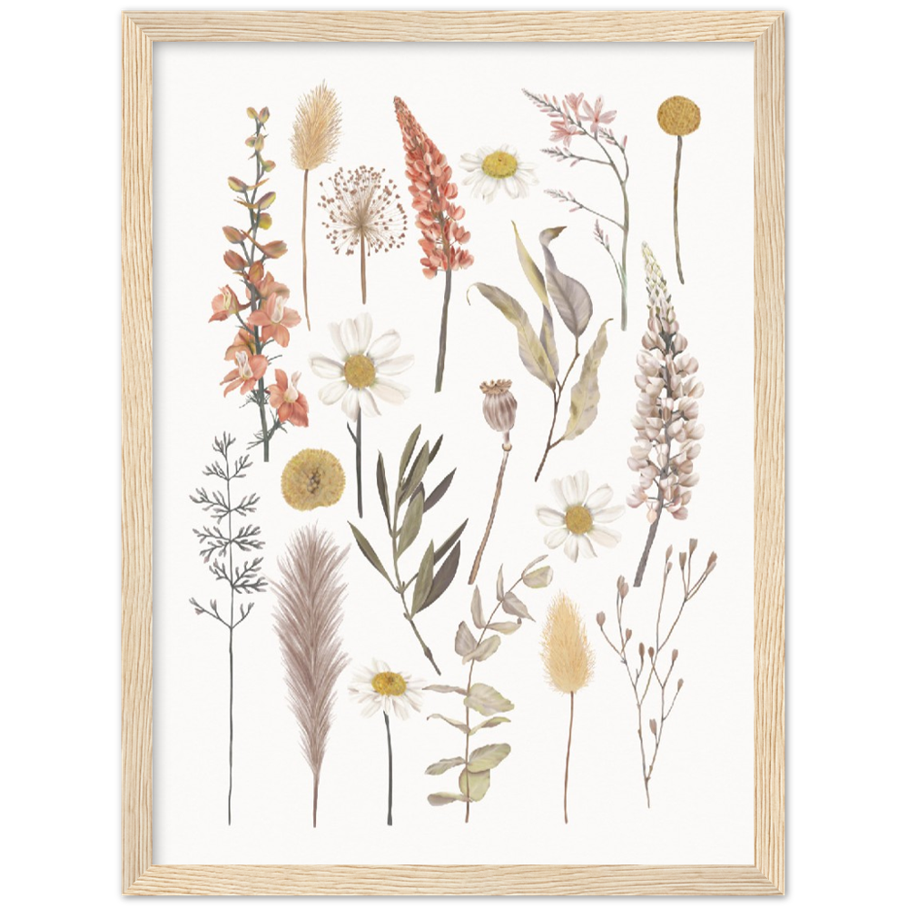 BOTANIC COMPO