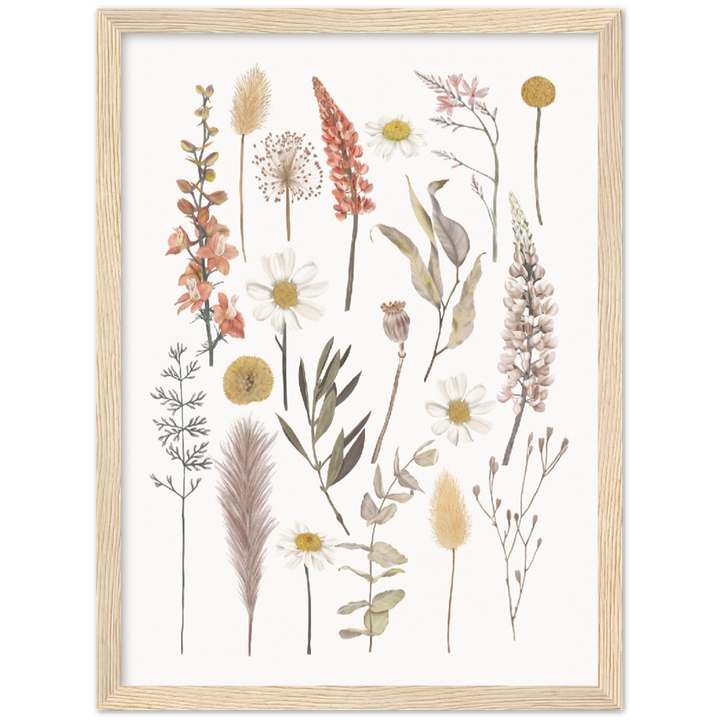 BOTANIC COMPO