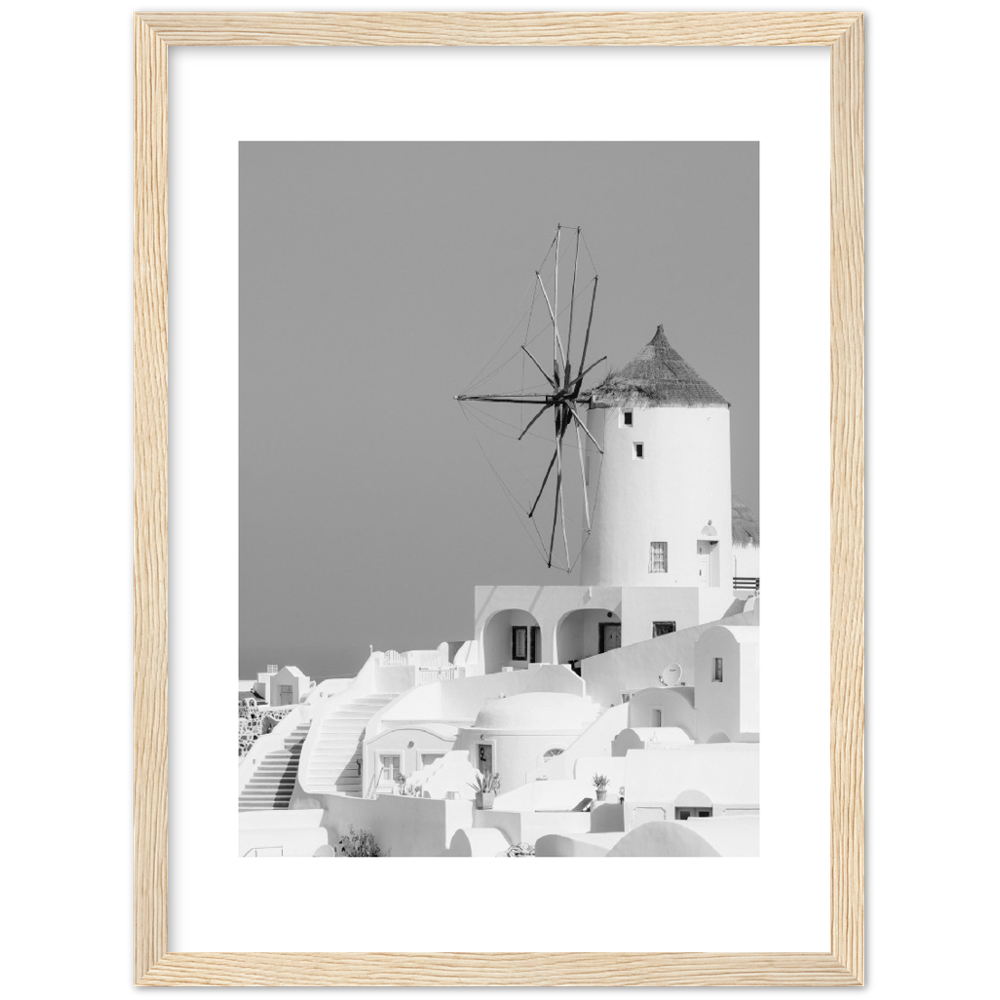 MOLINO BLANCO