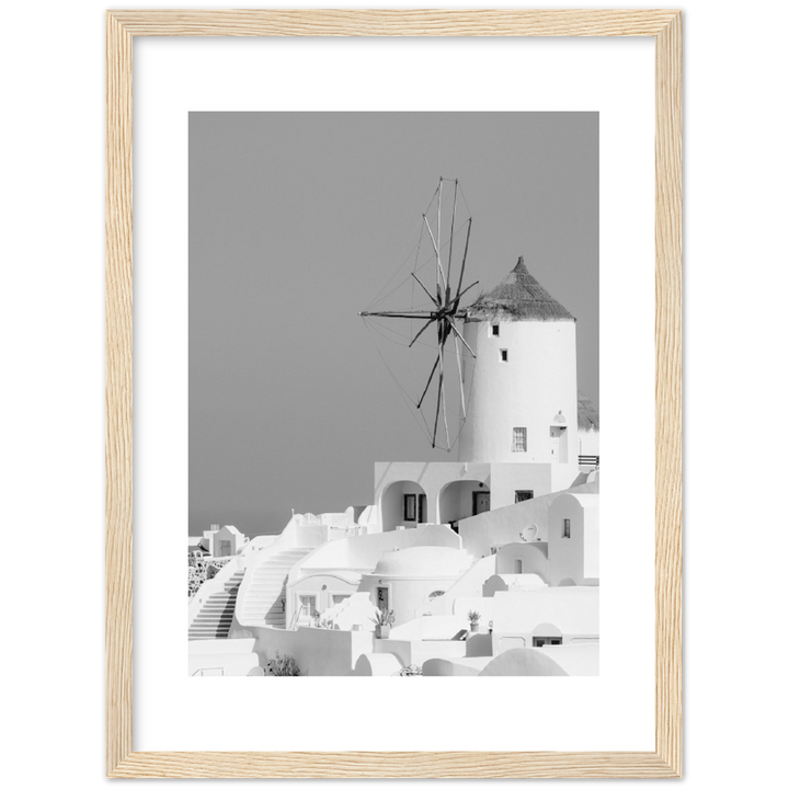 MOLINO BLANCO