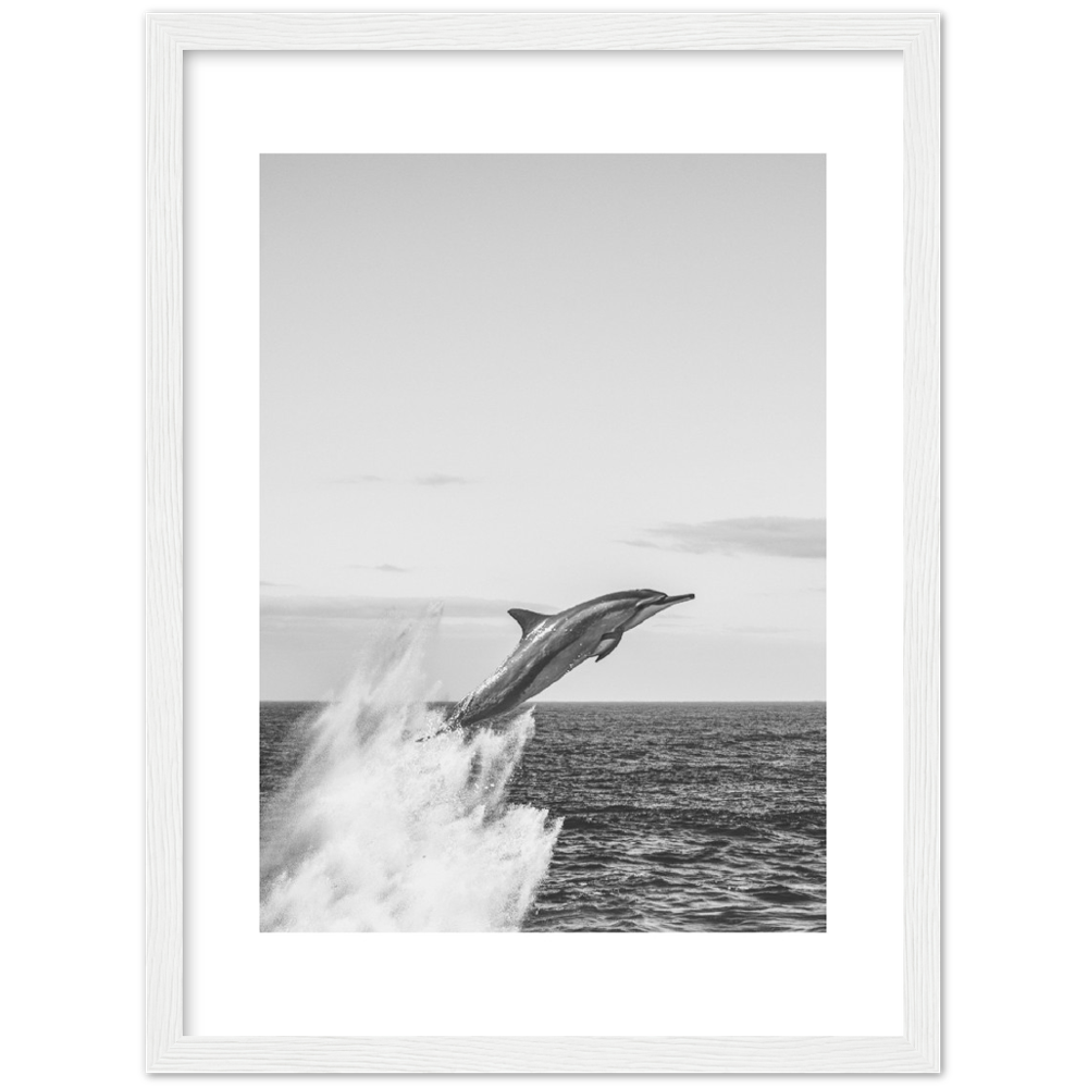 DELFIN