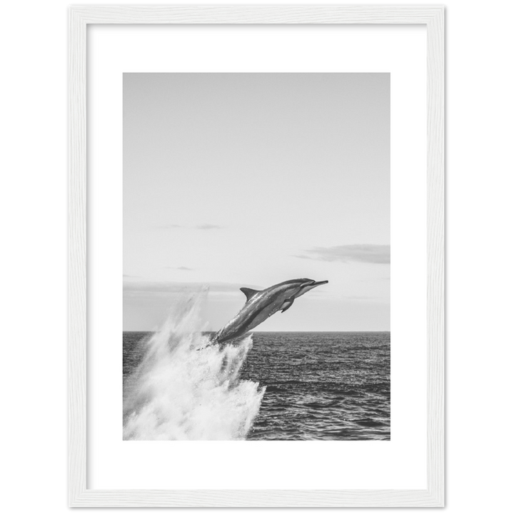 DELFIN