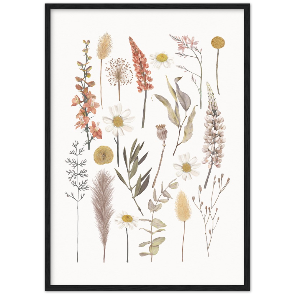 BOTANIC COMPO