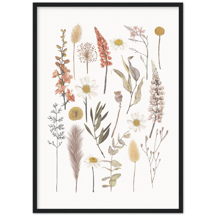 BOTANIC COMPO