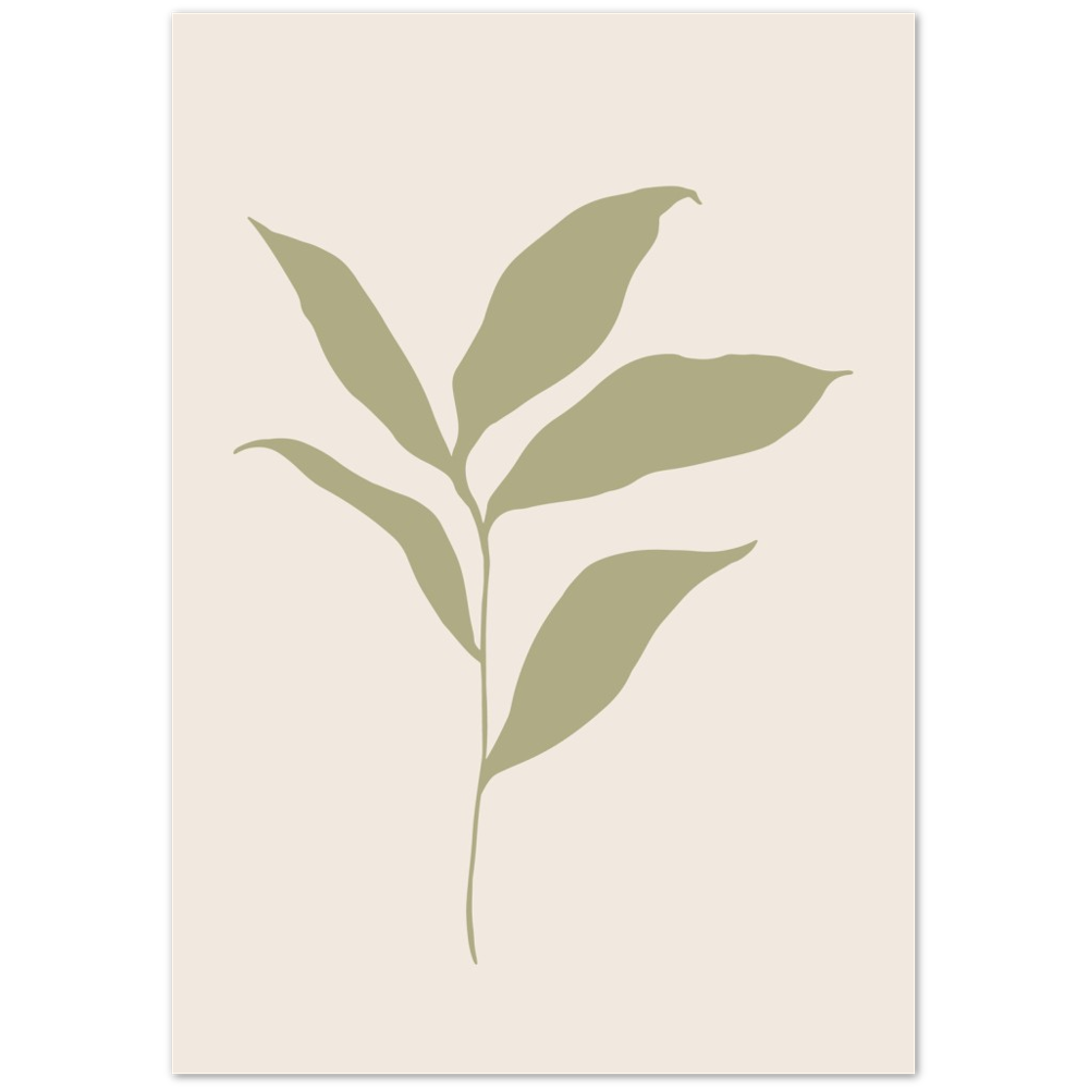 FLOR MUSA IV
