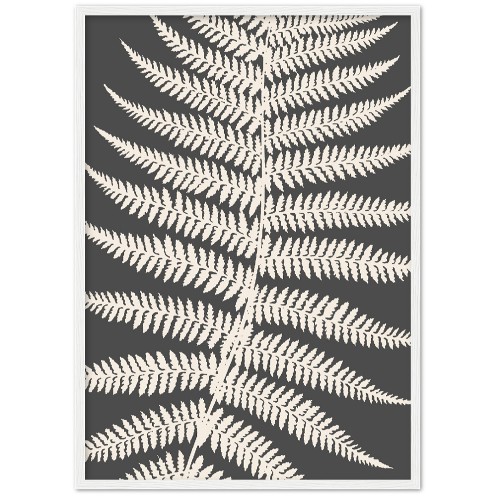 GREY FERNAT III