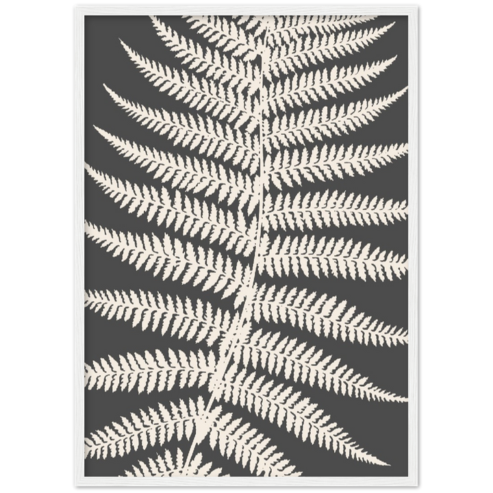 GREY FERNAT III