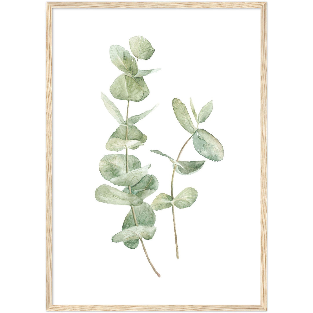 EUCALIPTUS I