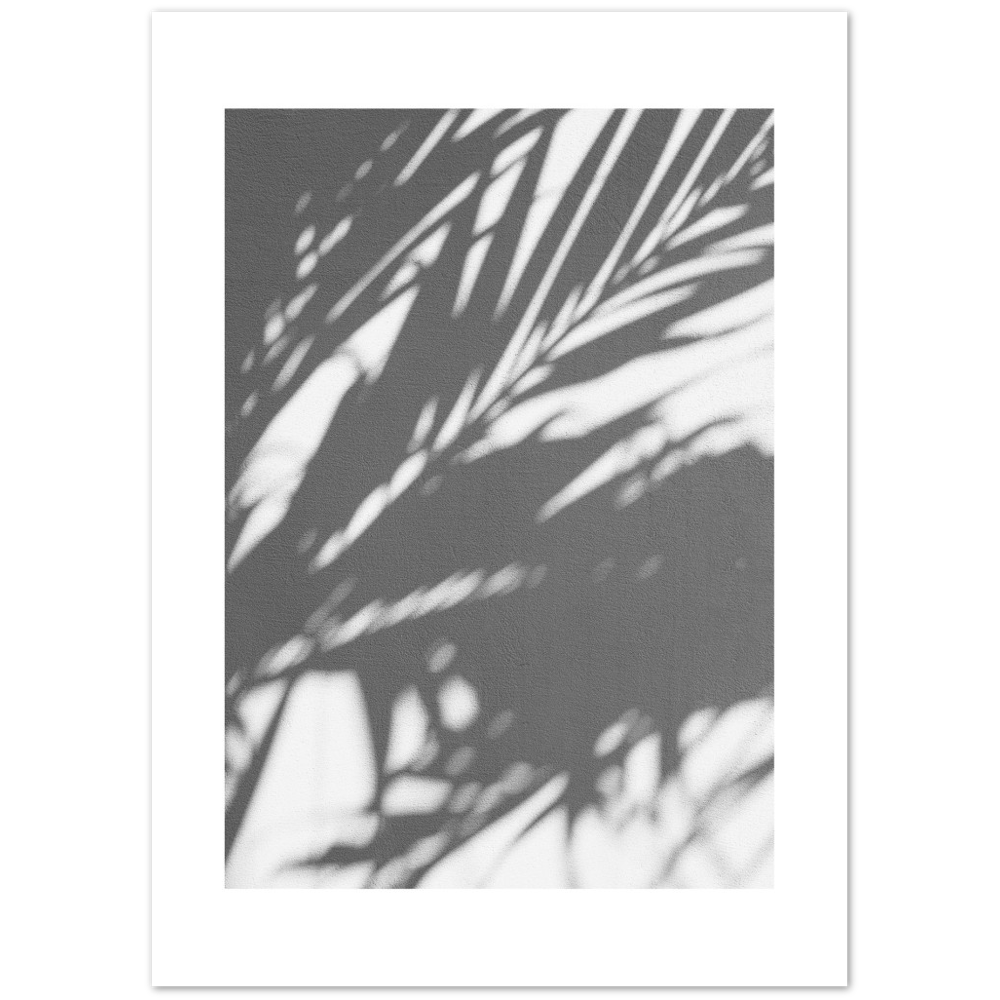 PALM SHADOW