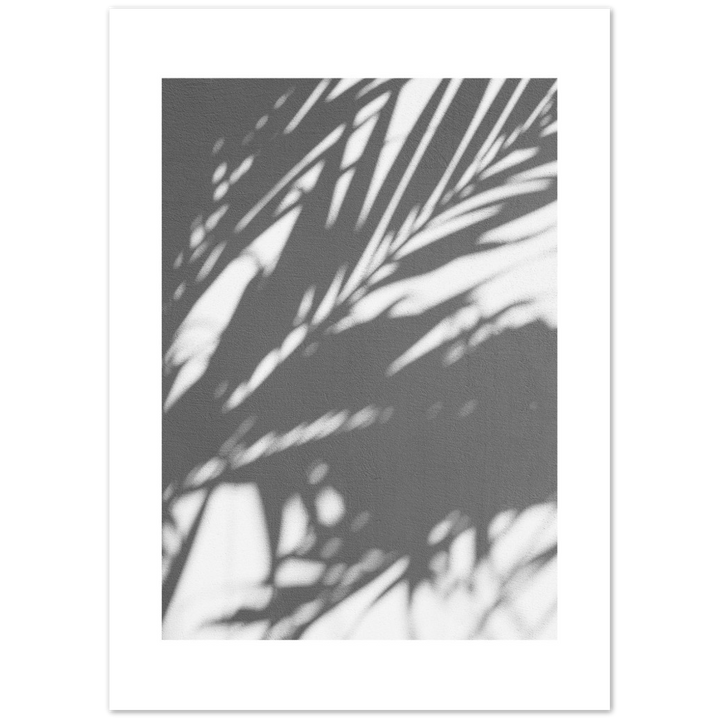 PALM SHADOW