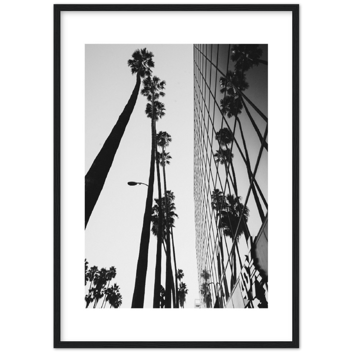 PALM TOWER