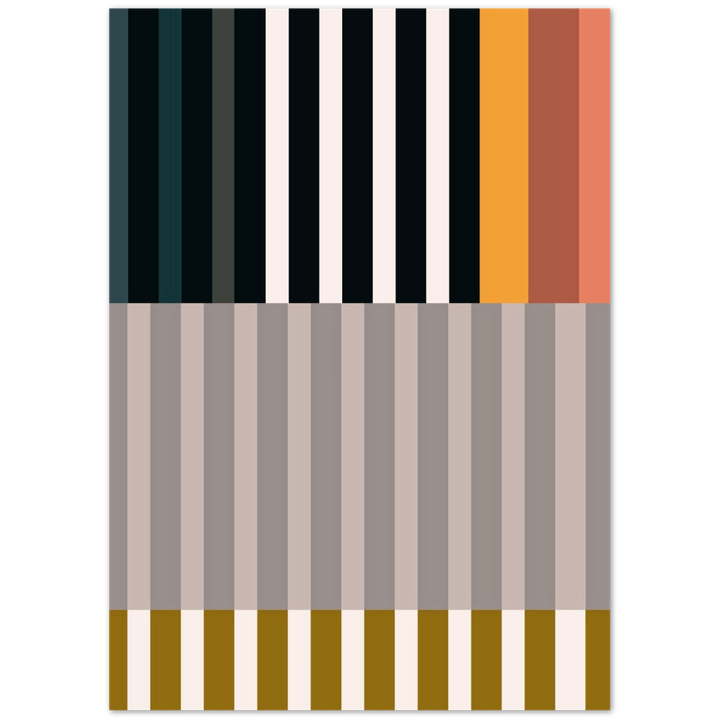 RAYVISION II