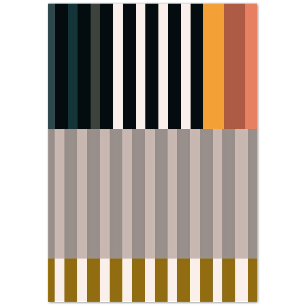 RAYVISION II