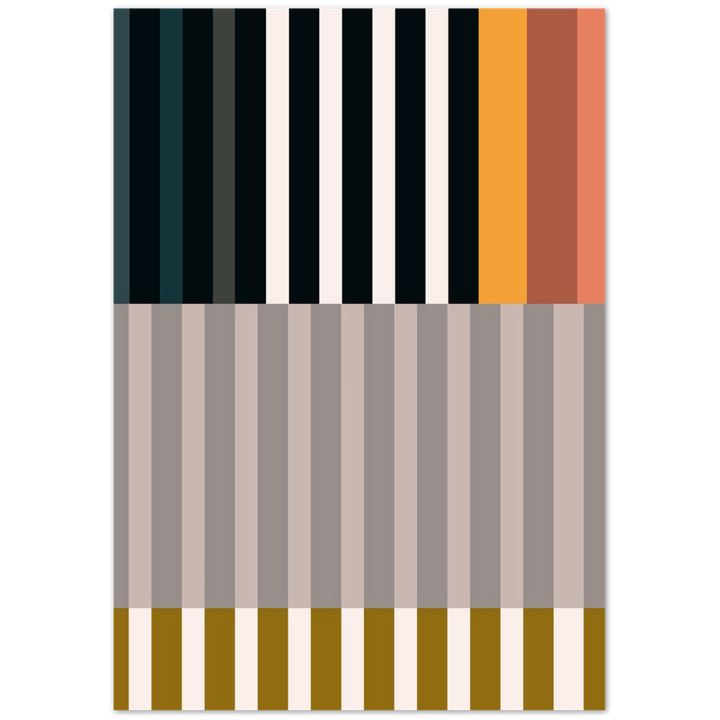 RAYVISION II