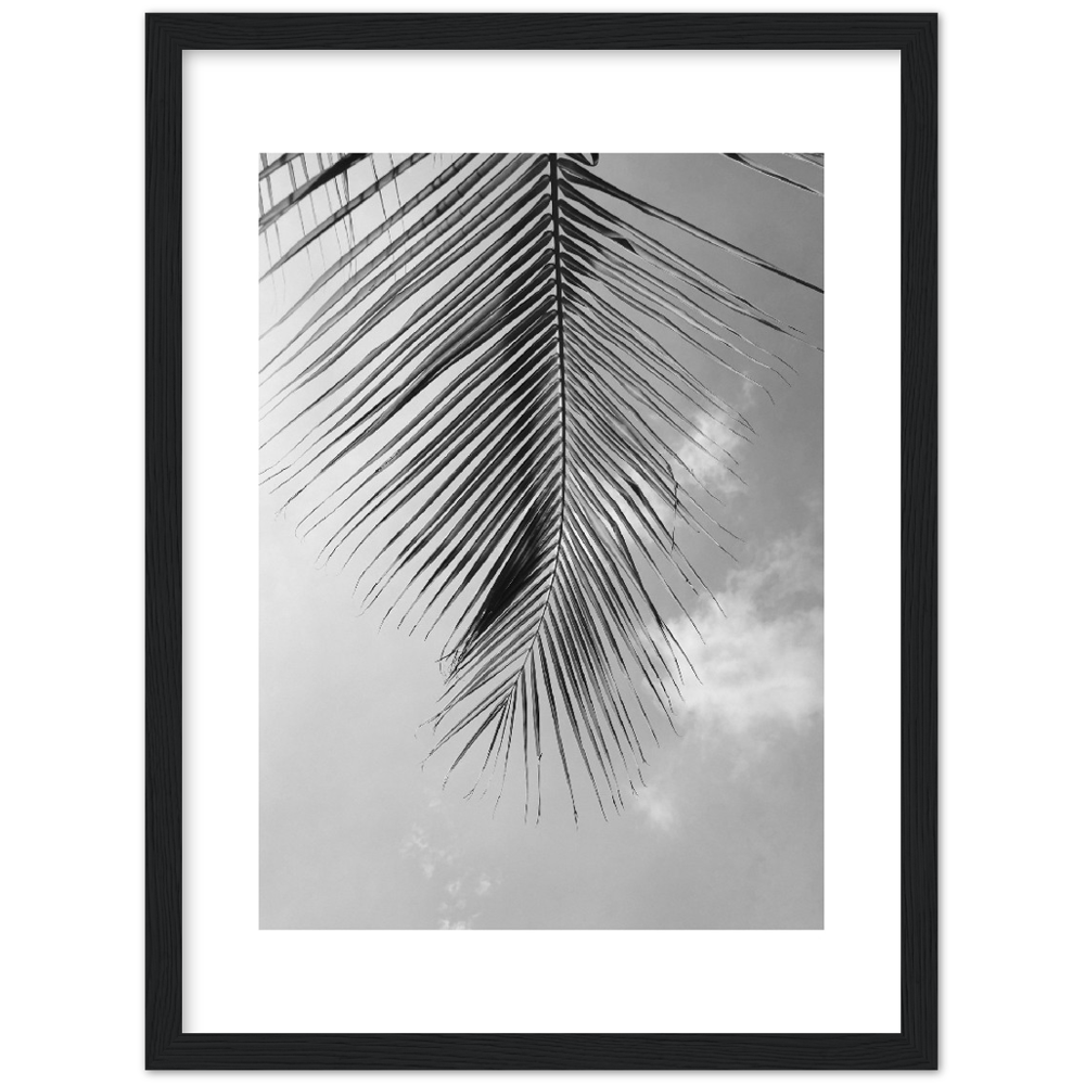 PALM CLOUD
